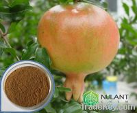 Sell Pomegranate Rind extract