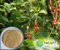 Schisandra Berry Extract