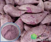 Purple potato juice powder