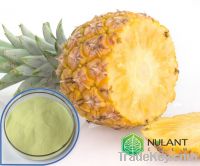 Pineapple juice powder