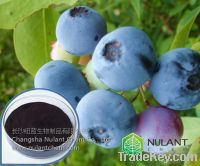 Sell Bilberry extract, blueberry extract