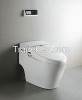 Electronic Toilet Bidet Seat