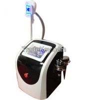 Sell portable cryolipolysis cavitation RF body slimming machine