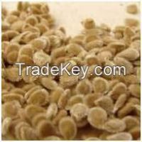 Sell Tomato Seeds