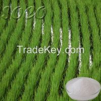 Seed Coating Polymer