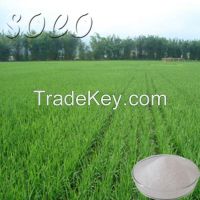 Potassium Water Absorbant for Agriculture