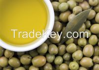 Best Olive Oil