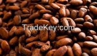 cocoa beans