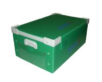 Sell pp box,pp sheet,corrugated sheet and board