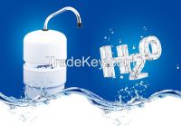 paragon water home use P3050ctd Counter-top Water Filter