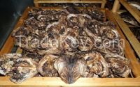 Dried StockFish/Apama Available
