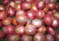 red onion for sale