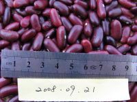 Red Kidney Beans 180-220 pcs/100g