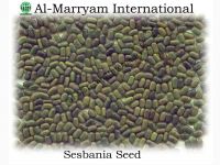 Sell Sesbania seed