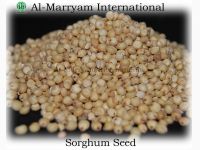 Sell Sorghum Seed