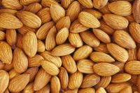 Wholesale Price Raw Almonds Available in large Stock