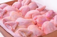 High Quality Frozen Premium Grade Halal Whole Chicken And Chicken Parts