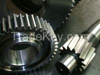 Wheel Gear Toothed Small Gear, Pinions