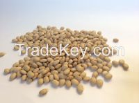 Light brown kidney bean