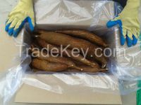 Fresh Cassava/Tapioca from Sri Lanka
