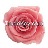 preserved rose head made of real fresh flower