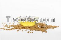 Soybean Oil