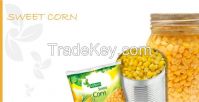 20000 Sweet Corn 850 gms cans ready stock for sell.