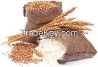 High quality Wheat Flour