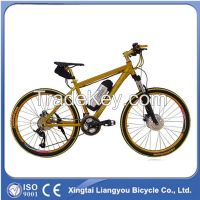 High Grade Electric Mountain Bicycle with Wholesale Price