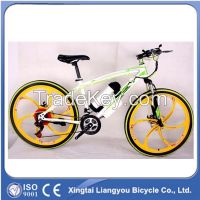 New Fashion Lithium Battery Mountain Bicycle in China