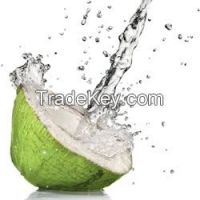 Tender Coconut Water