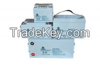 TEMRII AGM Valve-Regulated Lead-Acid Battery (Middle Size Series)