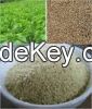 100% Organic Perilla Seed Extract powder