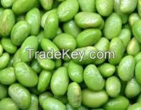 IQf frozen edamame beans/green soybean