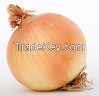 onion