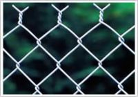 Sell Chicken Wire  chicken wire mesh chain link fence