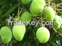 African Mango Seed