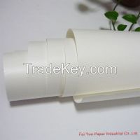 Glossy Roll Paper