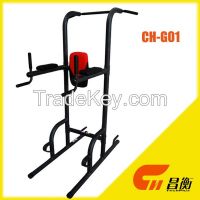 Pull and Dip Power Tower Chin Up Station Pull Up Bar Dip