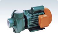 PX Series Centrifugal Pump