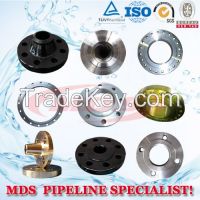 sell steel and stainless steel flange