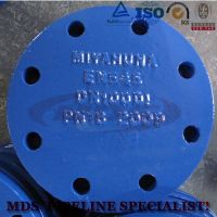 sell blind flange