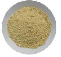 High Quality 5% Gingerol Ginger Extract
