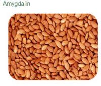 Almond Extract Amygdalin/Almond Extract Amygdalin Powder/Almond Extrac