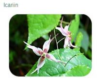 Icariin 50% 60% 80% 98% epimedium extract.epimedium extract icariin 98