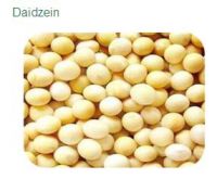 Factory price supply pure Natural Daidzein