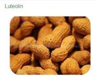 Top quality peanut shell extract Luteolin (80%-98%)