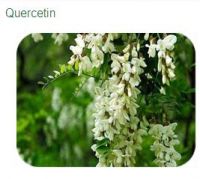 98% Quercetin