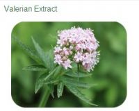 Valeric Acid Valerian Extract