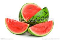 Freezed Dried Watermelon Powder